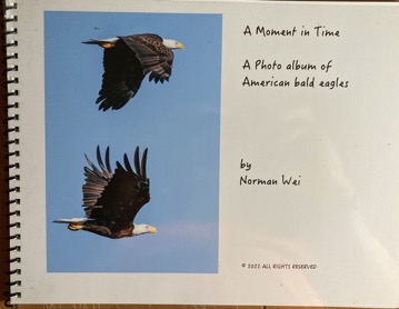 8102DCDB-A265-4156-AA60-1BEB207693A2_1_201_a